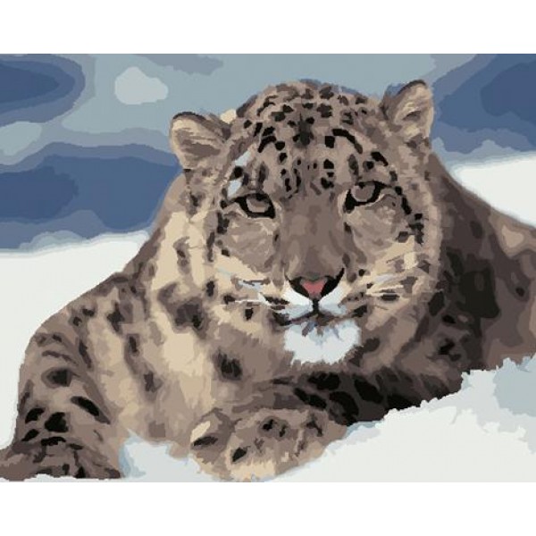 Animal Leopard Diy Paint By Numbers Kits Australia