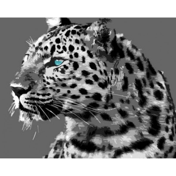 Animal Leopard Diy Paint By Numbers Kits Australia