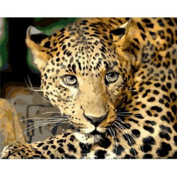 Animal Leopard Diy Paint By Numbers Kits For Adults Australia