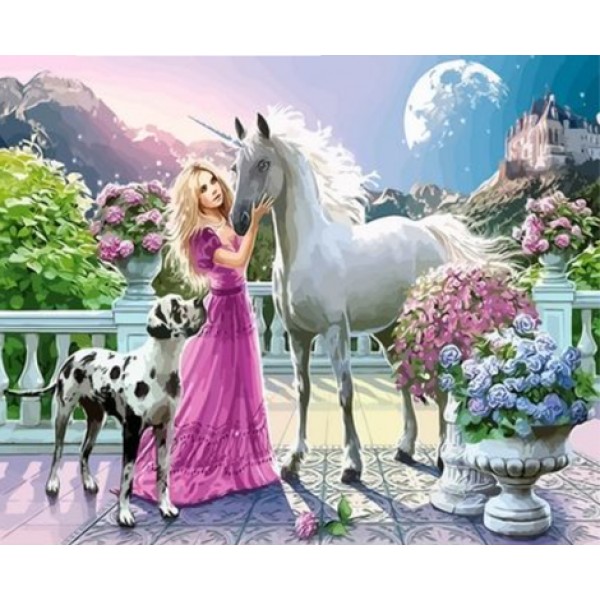 Beauty And Animal Diy Paint By Numbers Kits Australia