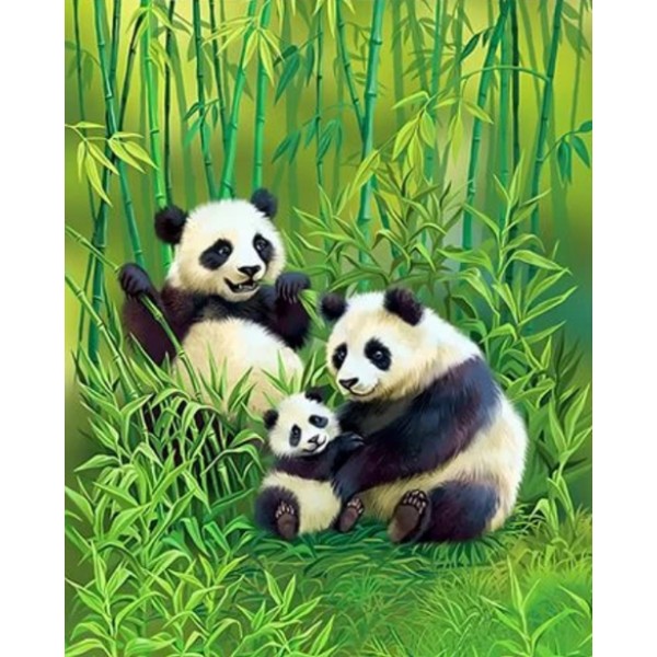 Panda Diy Paint By Numbers Kits Australia