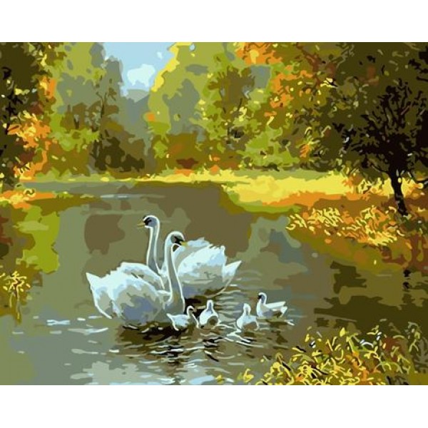 Swan Diy Paint By Numbers Kits Australia