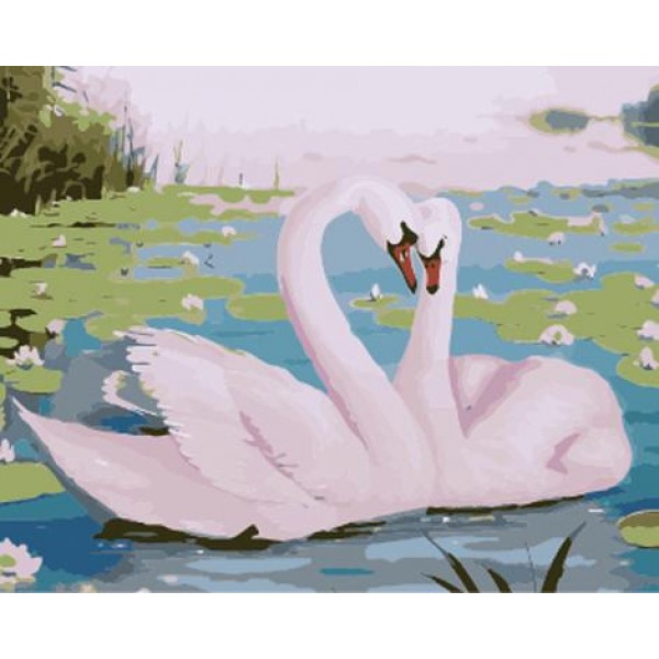 Animal Swan Diy Paint By Numbers Kits Australia