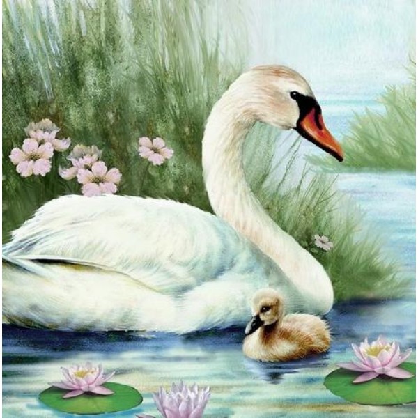 Swan Paint By Numbers Kits Australia