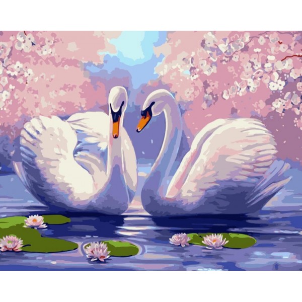 Swan Diy Paint By Numbers Kits Australia