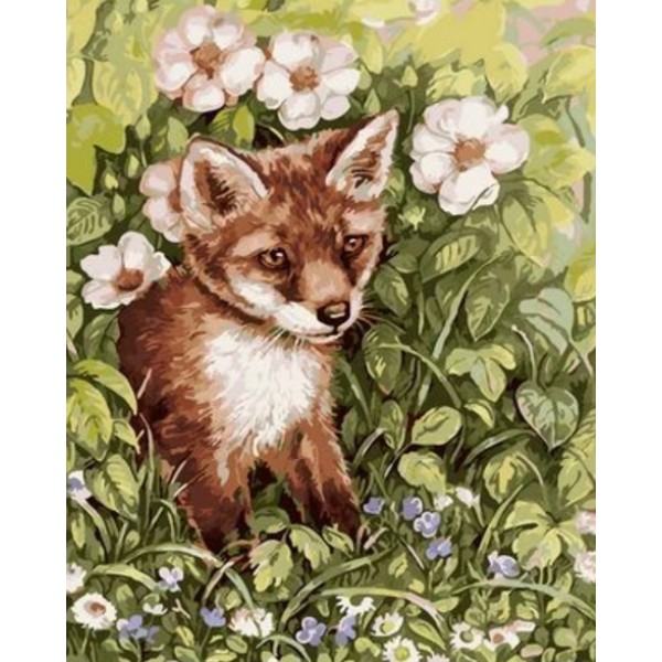 Animal Fox Diy Paint By Numbers Kits Australia