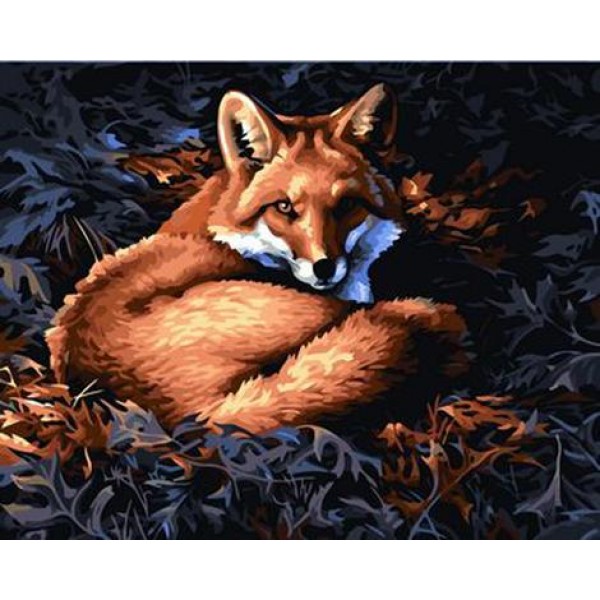Animal Fox Diy Paint By Numbers Kits Australia