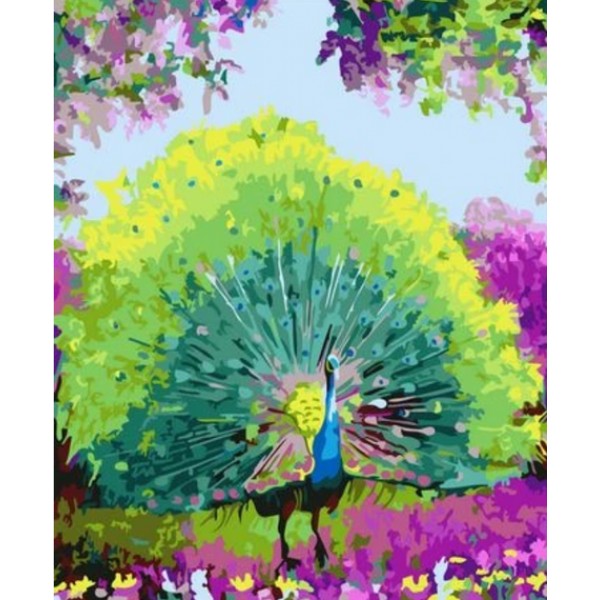 Animal Peacock Diy Paint By Numbers Kits Australia