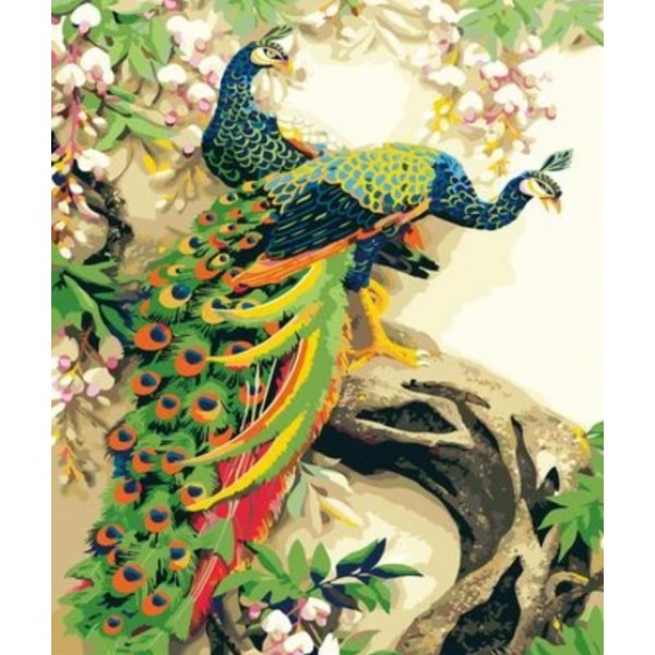 Animal Peacock Diy Paint By Numbers Kits Australia