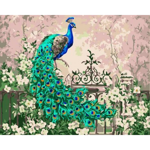 Peacock Diy Paint By Numbers Kits Australia