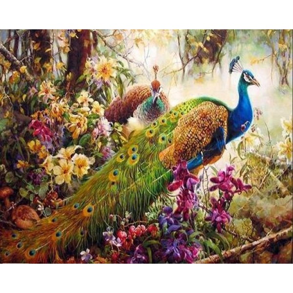 Animal Peacocks In The Forest Diy Paint By Numbers Kits Australia