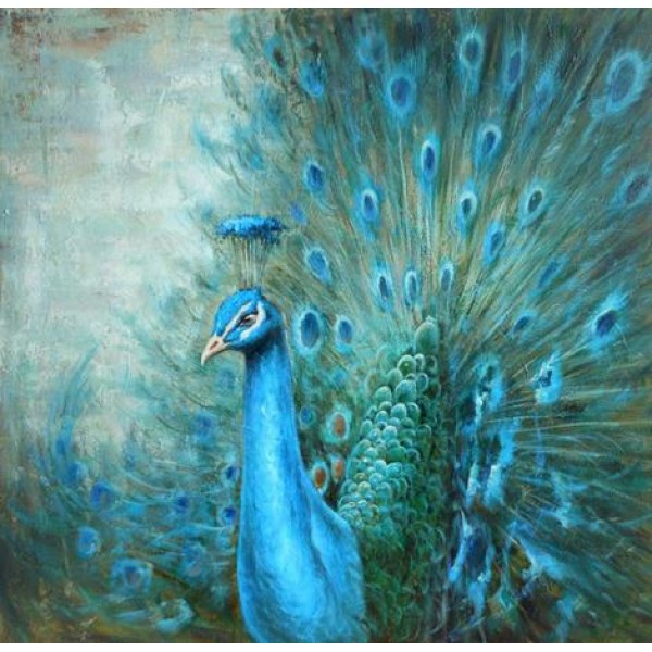 Peacock Diy Paint By Numbers Kits Australia