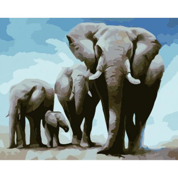 Animal Elephant Diy Paint By Numbers Kits Australia