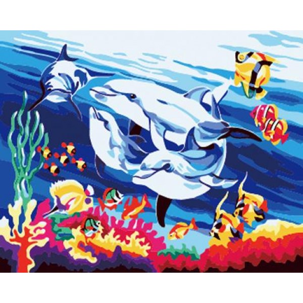 Dolphin Diy Paint By Numbers Kits MA213 Australia