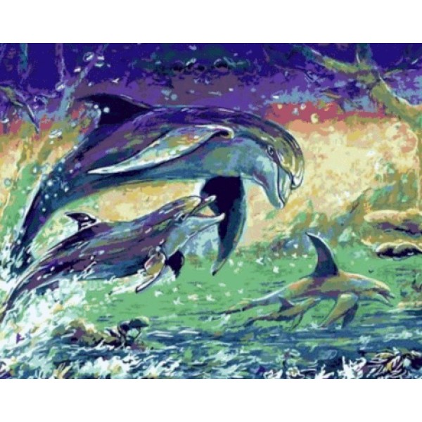 Dolphin Diy Paint By Numbers Kits MA212 Australia