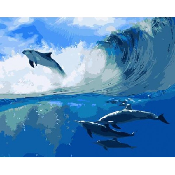 Dolphin Diy Paint By Numbers Kits MA205 Australia