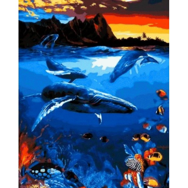 Dolphin Diy Paint By Numbers Kits MA197 Australia