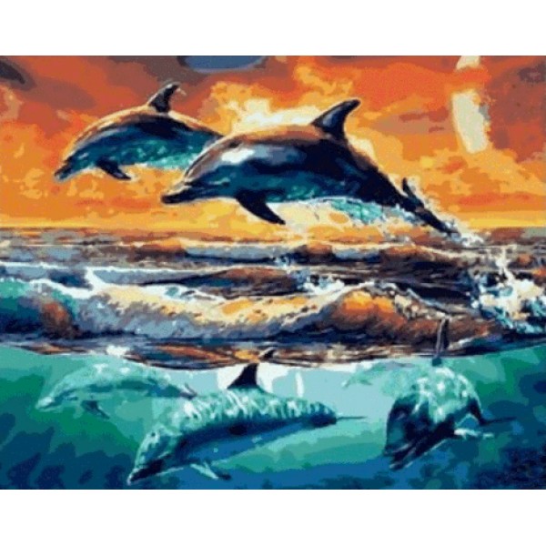 Dolphin Diy Paint By Numbers Kits MA196 Australia