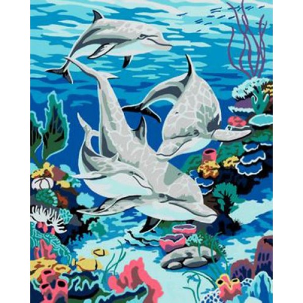 Dolphin Diy Paint By Numbers Kits MA186 Australia