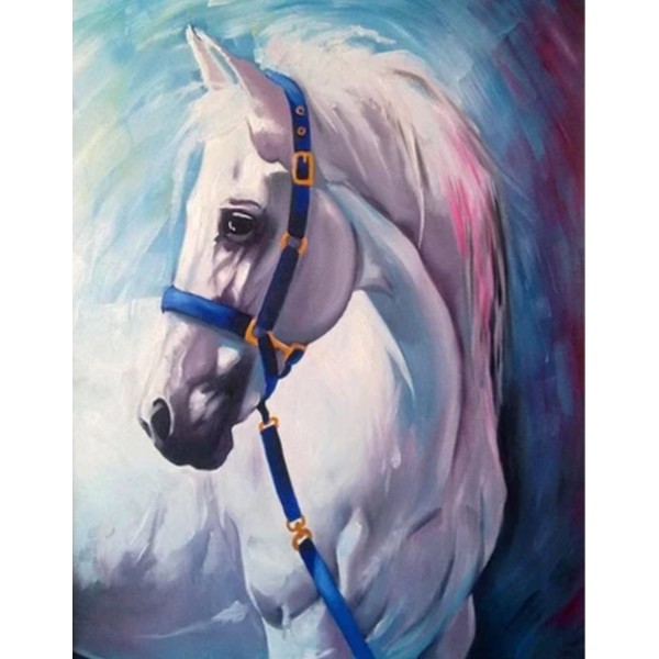 Horse Diy Paint By Numbers Kits Australia