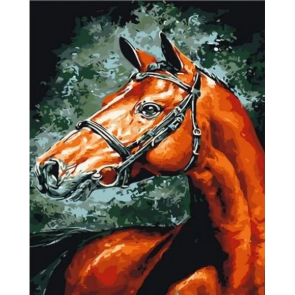 Animal Horse Diy Paint By Numbers Kits Australia