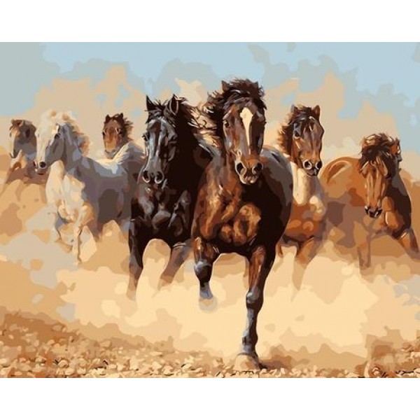 Horse Diy Paint By Numbers Kits Australia