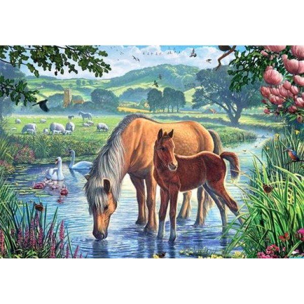 Animals Horse Paint By Numbers Kits Australia