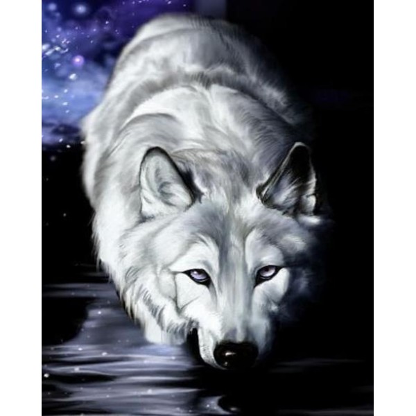 Animals Wolf Paint By Numbers Kits Australia
