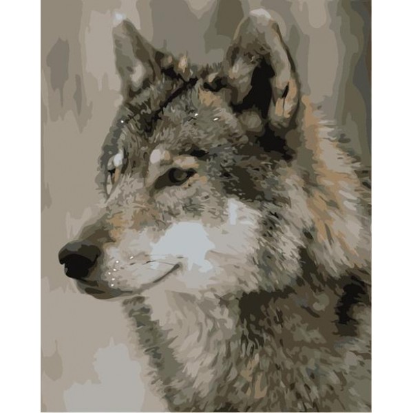 Animal Wolf Paint By Numbers Kits Australia