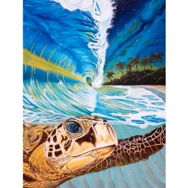 Turtle Diy Paint By Numbers Kits MA231 Australia
