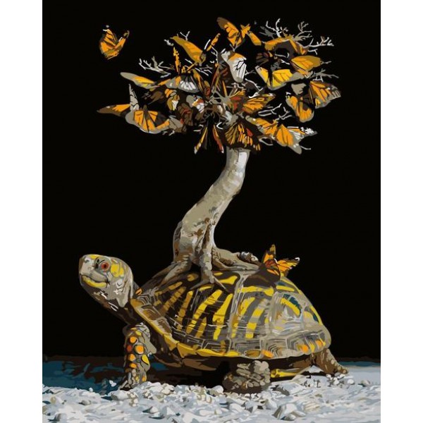 Turtle Diy Paint By Numbers Kits MA229 Australia