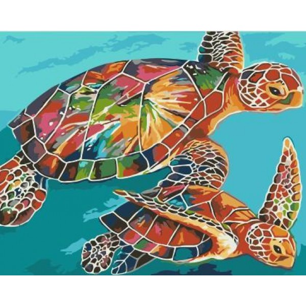 Turtle Diy Paint By Numbers Kits MA221 Australia