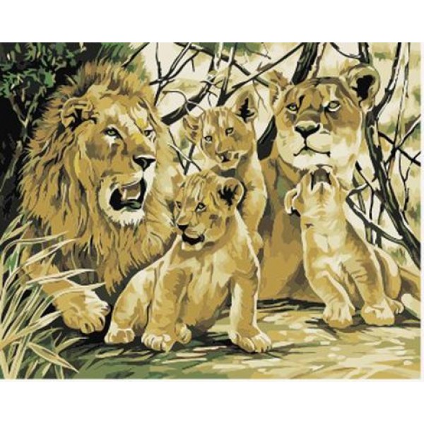 Animal Lion Diy Paint By Numbers Kits Australia