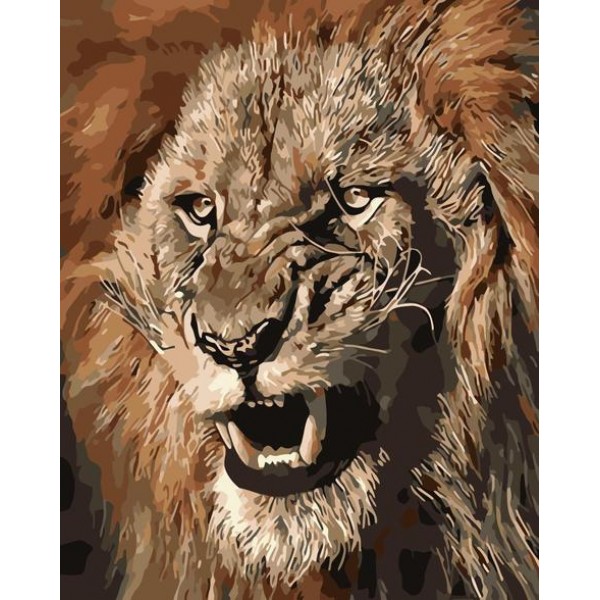 Lion Diy Paint By Numbers Kits Australia