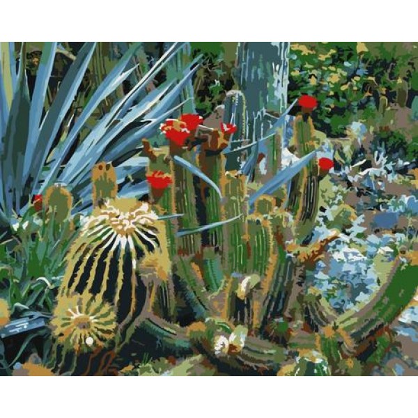 Cactus Diy Paint By Numbers Kits Australia
