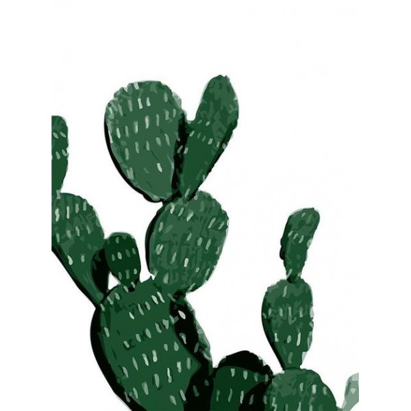 Cactus Diy Paint By Numbers Kits Australia