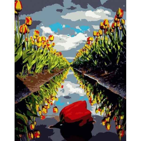Tulips Diy Paint By Numbers Kits Australia