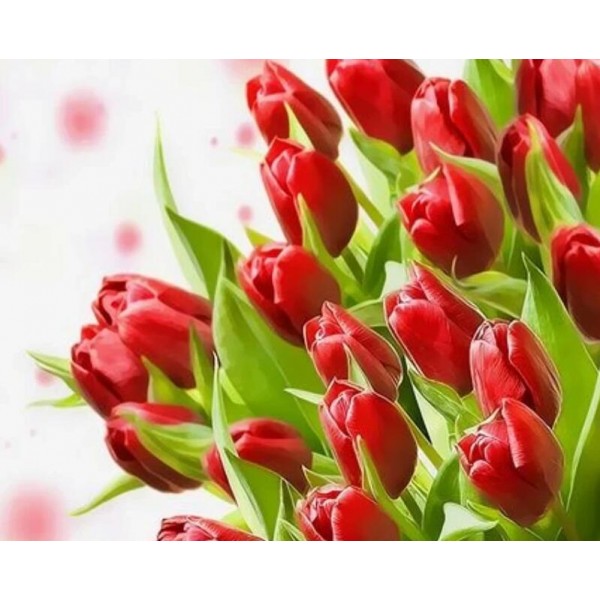 Tulips Diy Paint By Numbers Kits Australia