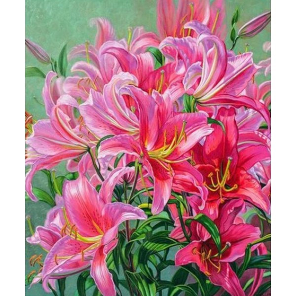 Lily Paint By Numbers Kits Australia