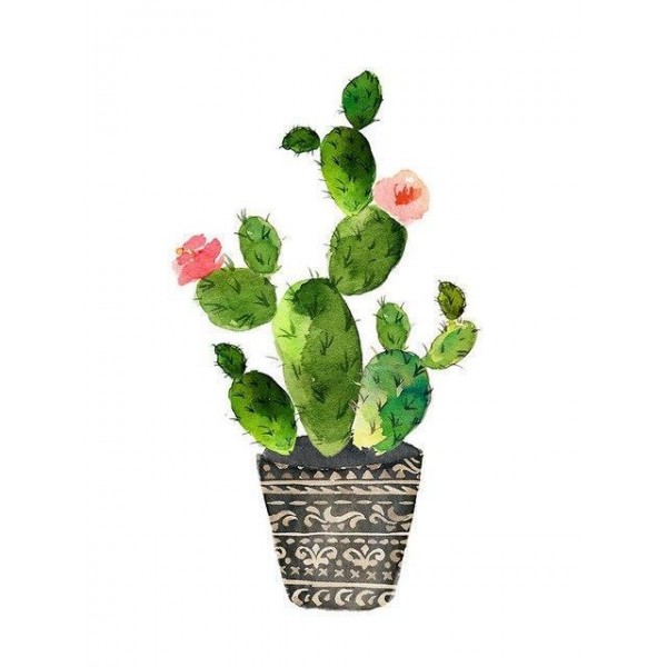 Flower Cactus Paint By Numbers Kits Australia