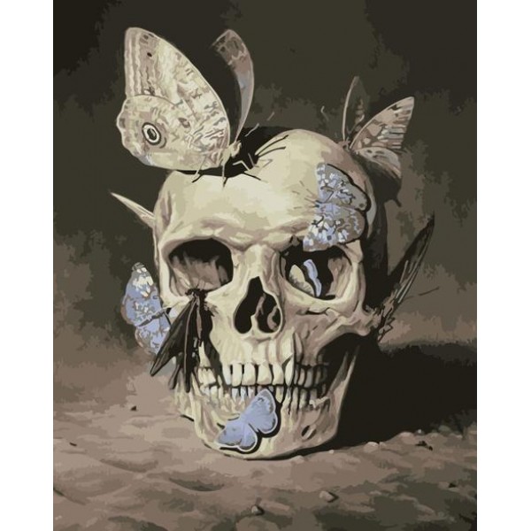 Skull Diy Paint By Numbers Kits Australia