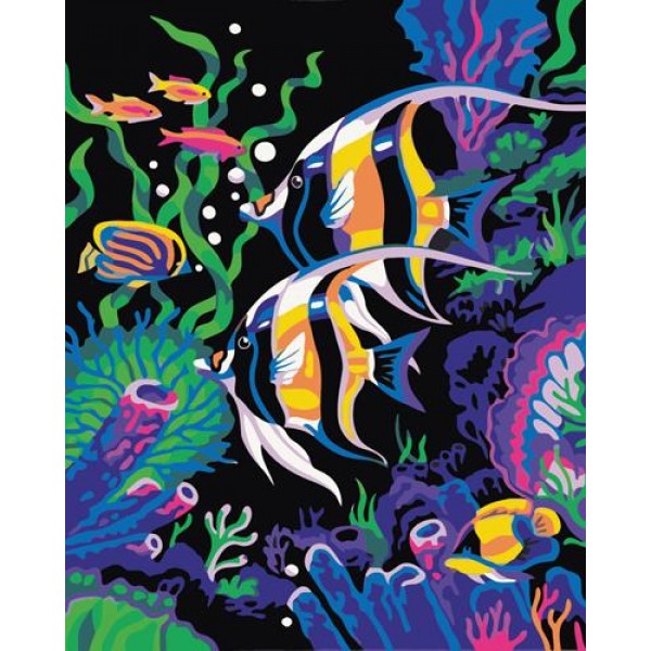 Fish Diy Paint By Numbers Kits Australia