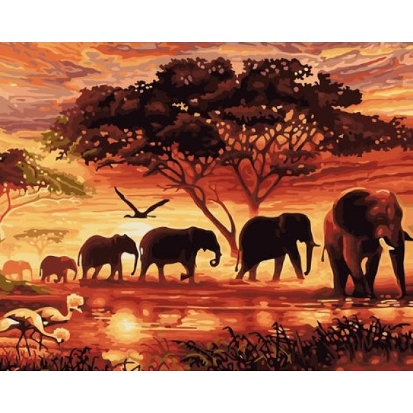 Elephant Diy Paint By Numbers Kits Australia