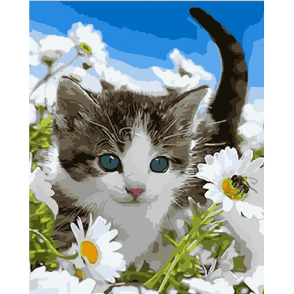 Cat Diy Paint By Numbers Kits Australia