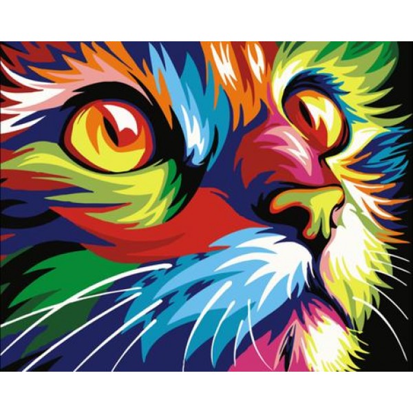 Pet Colorful Cat Diy Paint By Numbers Kits For Adults Australia
