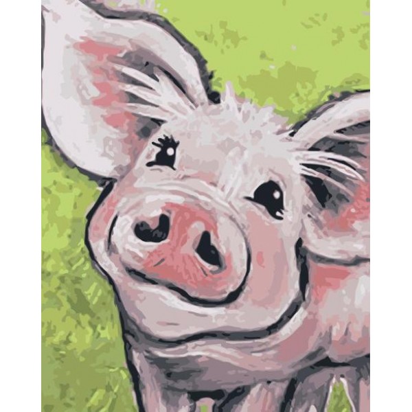 Pig Diy Paint By Numbers Kits Australia