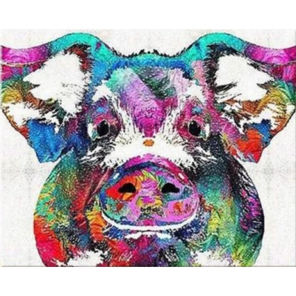 Colour Pig Diy Paint By Numbers Kits Australia