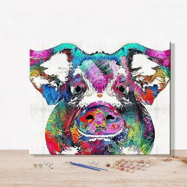 Colour Pig Diy Paint By Numbers Kits Australia