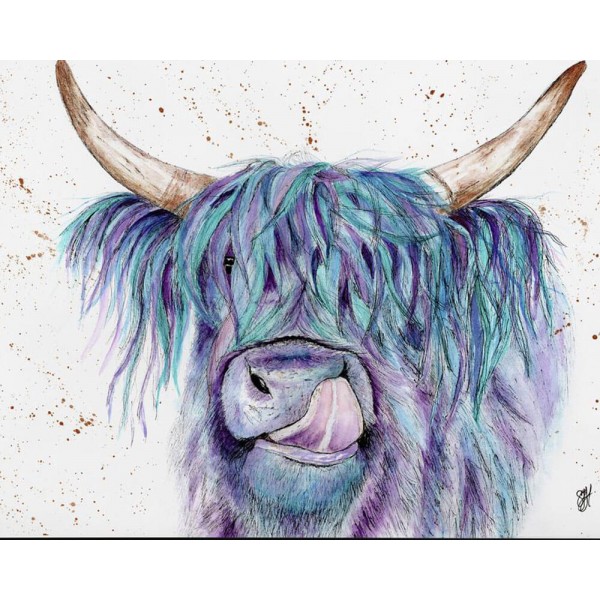 Highland Cow Diy Paint By Numbers Kits Australia