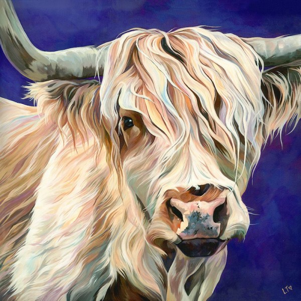 Highland Cow Diy Paint By Numbers Kits Australia